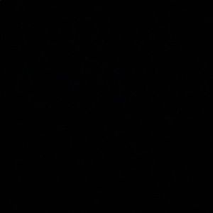 Meet your Posher, Yvette